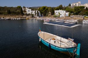 DJI_0601